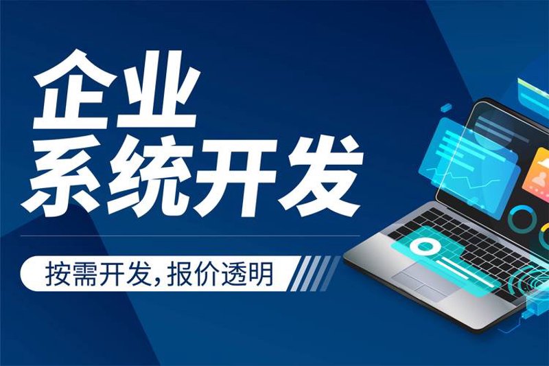 苏州软件开发:技术与创新的双重绽放